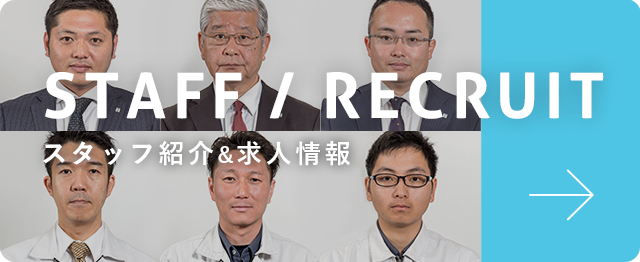 スタッフ紹介・求人情報